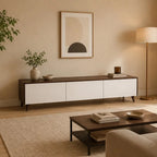 The Vinso TV Console